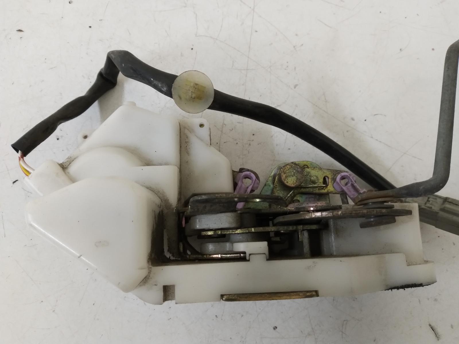 Contact us for Photo