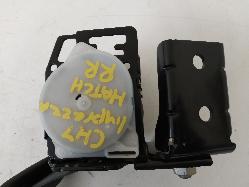 Contact us for Photo