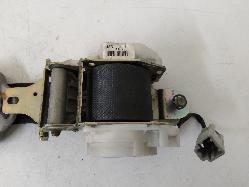 Contact us for Photo