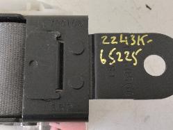 Contact us for Photo