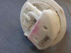 Contact us for Photo