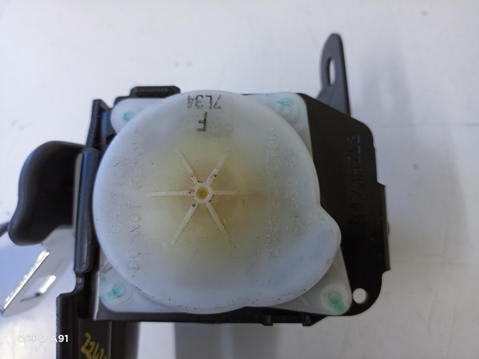 Contact us for Photo