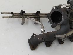 Contact us for Photo