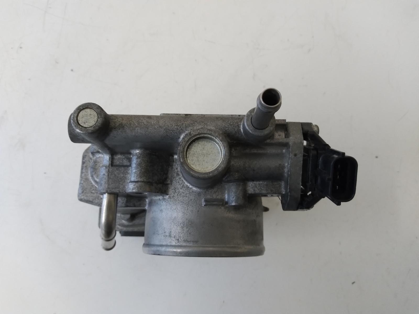 Contact us for Photo