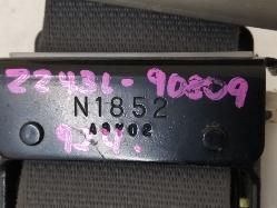 Contact us for Photo