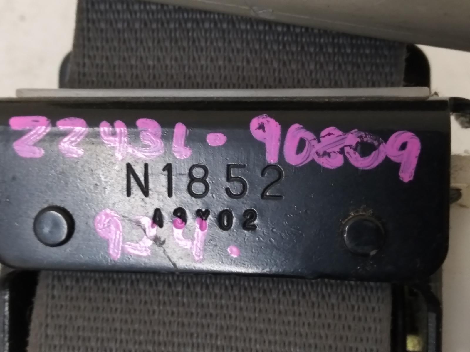 Contact us for Photo