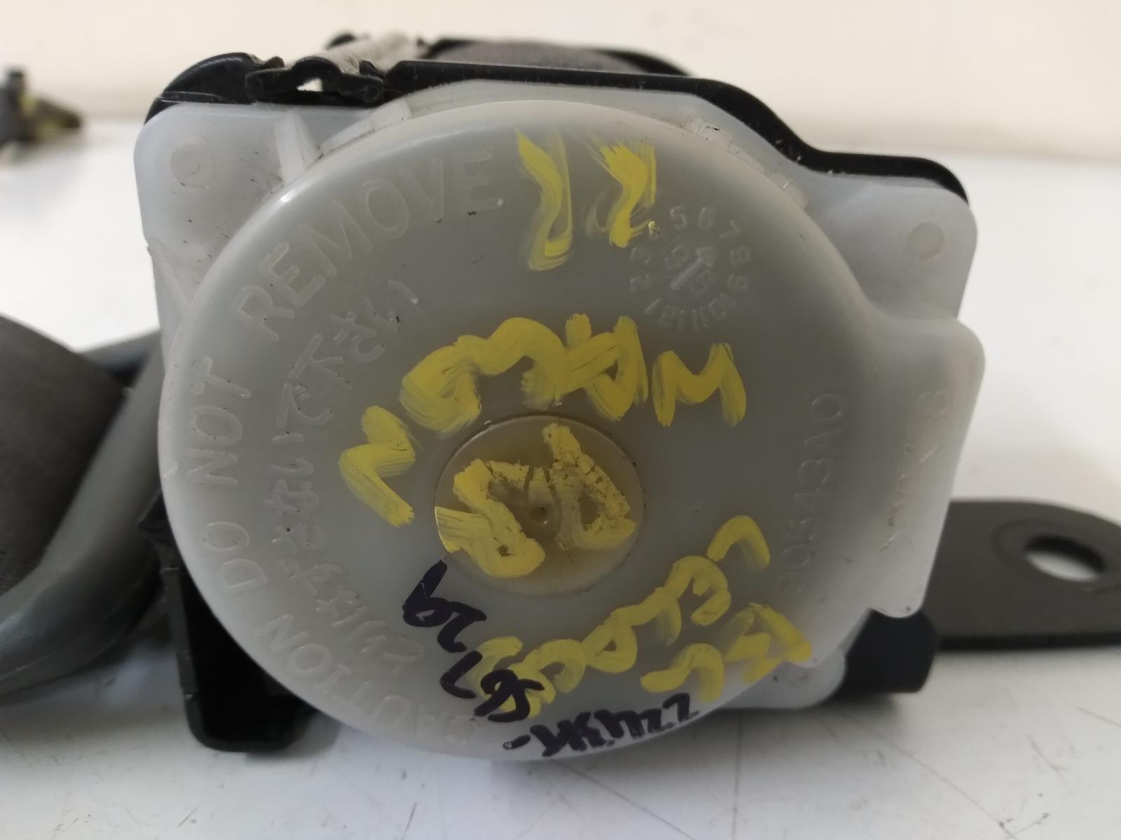 Contact us for Photo